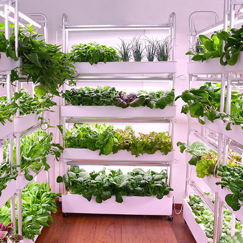 Thủy Canh Phát Triển Hệ Thống  - đánh giá và giá Hydroponic Tower Planter