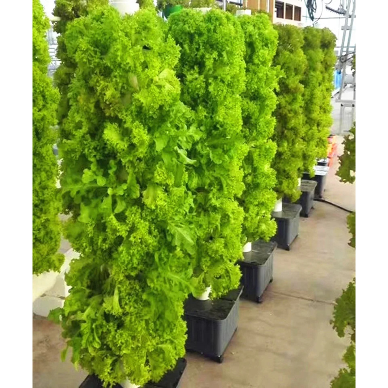 Home Garden Vertical Hydroponi - đánh giá và giá Hydroponic Tower Planter