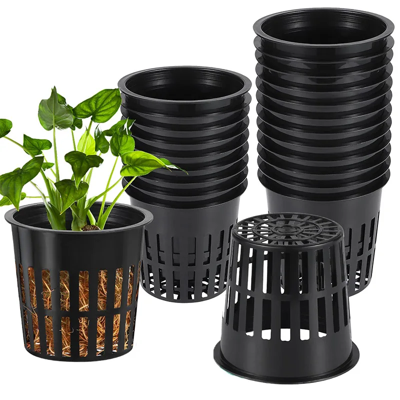 10PCS 3 Inch Hydroponics Cups  - đánh giá và giá Net Pot 3 Inch