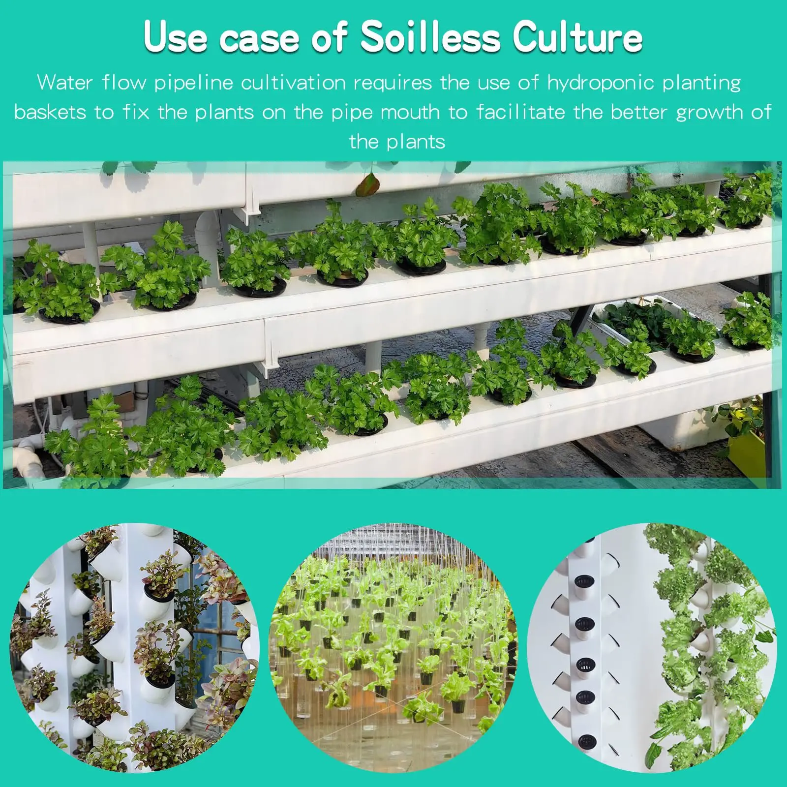 10PCS 3 Inch Hydroponics Cups  - đánh giá và giá Net Pot 3 Inch